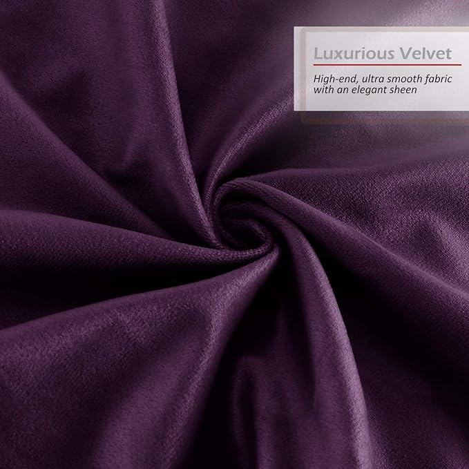 Throw Pillow Inserts Pack of 2 with Velvet Soft Solid Decorative Square Throw Pillow Covers Set for Sofa Couch Car Bedroom, 22X22 Throw Pillows Inserts with 20x20 Washable Cushion Covers, Dark Purple