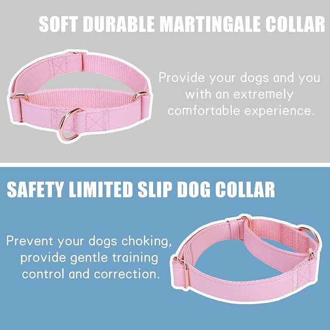 Soft Leather Martingale Dog Collar - Adjustable Rose Gold Limited Slip Collars [Easy to Clean], Stylish Durable Heavy Duty Nylon No Pull Training Collar for Small Medium Large Dogs (XS, Set Pink)