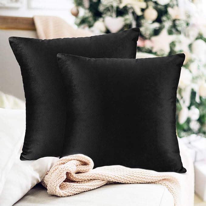 Nestl Throw Pillow Inserts Pack of 2 with Velvet Soft Solid Decorative Square Throw Pillow Covers Set for Sofa Couch Car Bedroom, 20X20 Throw Pillows Inserts with 18x18 Washable Cushion Covers, Black