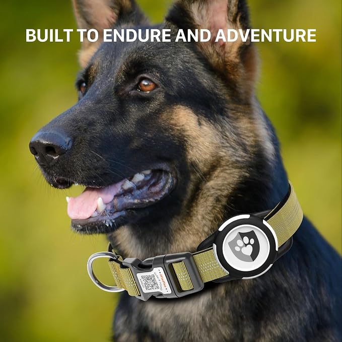 Waterproof AirTag Dog Collar with QR Code Dog Tag, Champagne XS | IP68 waterproof, QR code dog tag, Anti-Lost, Online profile, fits XS-L (8"-26"), Padded nylon, Reflective, No App, No Fees