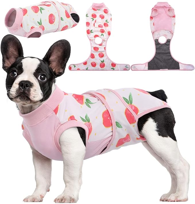 Kuoser Recovery Suit for Dogs Cats, Soft Dog Surgery Suit Female Male Spay | Professional Dog Onesie for Surgery, Substitute E-Collar & Cone, Prevent Licking Dog surgical suit Pet Neuter Suit