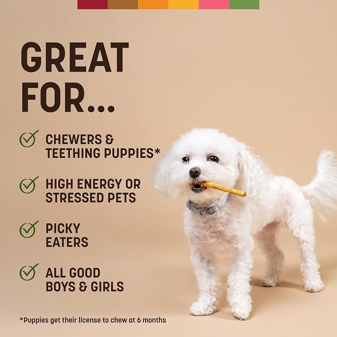 Earth Animal No Hide Stix - Rawhide Free Dog Chews Sticks 80 Count Pork | Small Sticks Pork Flavored Natural Rawhide Free Long Lasting Dog Chews - Pet Treats for Small Dogs and Cats
