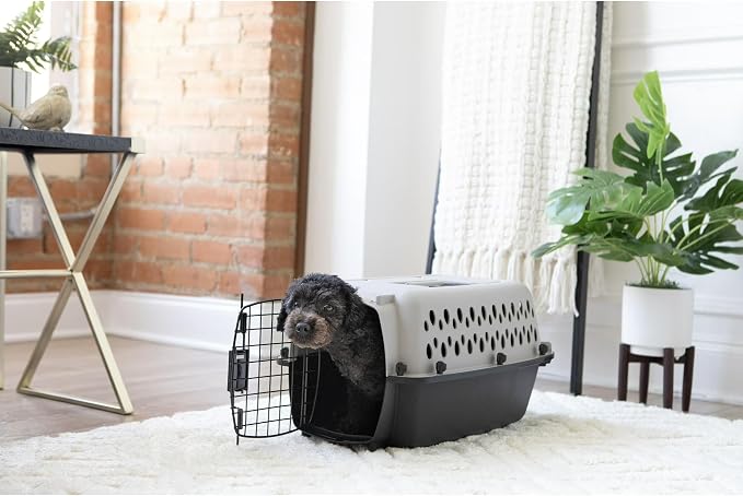 Hard-Sided Cat Carrier & Dog Crate - Pet Carrier Metal Door, Travel Cat Cage & Dog Carrier, Large Cat Carrier Alternative, for Pets ≤10 lbs, 19" Lx12.3 Wx10.8 H, Black/Grey