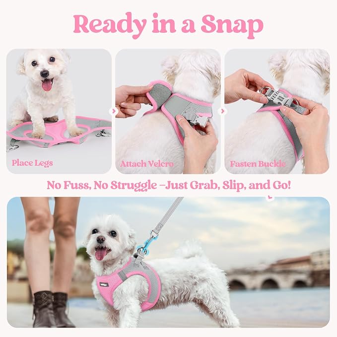 rabbitgoo Dog Harness Small Sized and Leash Set, Step-in Puppy Pet Vest | Light, Soft, Breathable Air Mesh, Easy on and Remove with Hook & Loop, Secure Reflective for Walking, Light Pink & Gray XXS