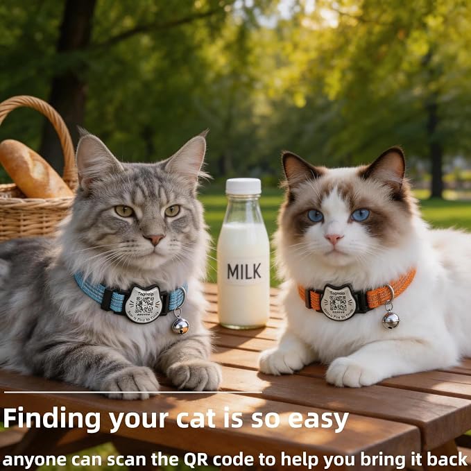 Breakaway Cat Collar with QR Code Tag and Bell (Blue & Orange) | Reflective Nylon, Quick-Release Buckle