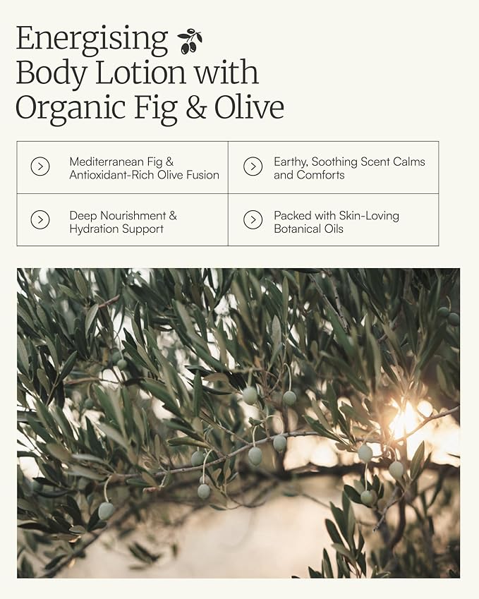 AEOLIS Soothing Body Lotion with Olive & Lavender – Hydrating Moisturizer with Aloe Vera, Shea Butter & Vitamin E – Non-Greasy, Vegan Skincare for All Skin Types – 6.76 fl oz