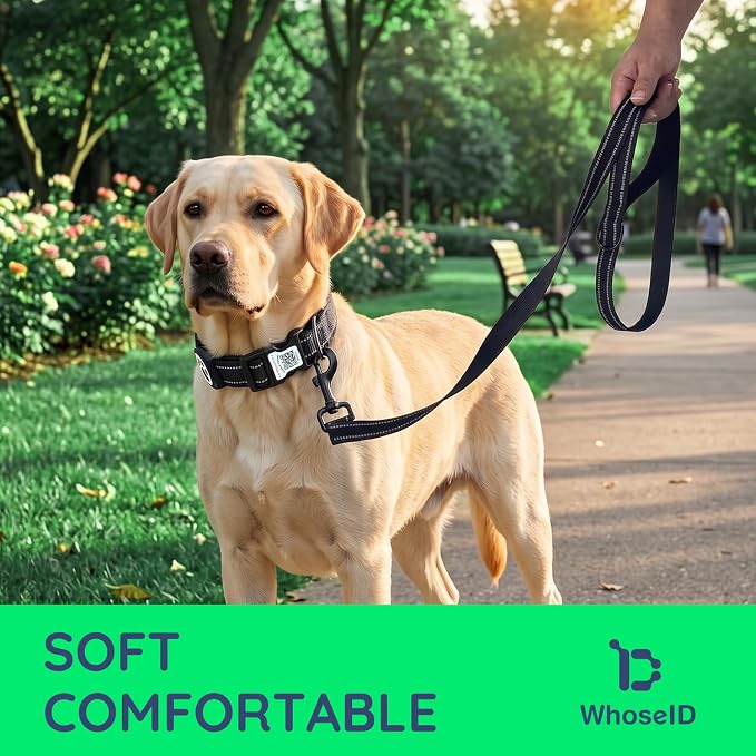 Airtag Dog Collar and Leash Set,Reflective Ultra-Durable Nylon Padded With QR Buckle & IP68 Waterproof Air Tag Holder Compatible for Apple AirTag, Comfortable for Small Medium Large Dogs (Black Set,M)