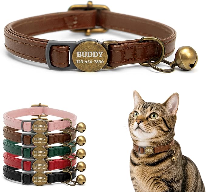 Personalized Breakaway Cat Collar with Name, Brown