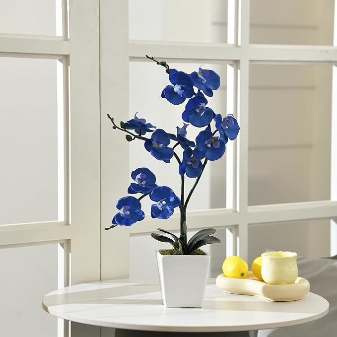 15" Silk Phalaenopsis Orchid in Square Pot, Navy Blue Flower Arrangements | Lifelike Faux Potted Blooms with Moss in a Ceramic Planter. Looks Real, Zero Upkeep, Ideal Centerpiece for Any Table