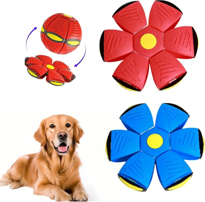 2 Pack Dog Flying Disc Toy Pet Flying Saucer Ball for Dogs Disc Games Toys