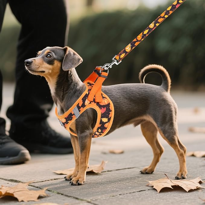 KOOLTAIL Fall Dog Harness and Leash Set for Small Medium Dogs, Thanksgiving Step in No Pull Comfort Padded Pet Vest, Adjustable Reflective Easy Walking Puppy Cats Harness Training, Leaf & Pumpkin S