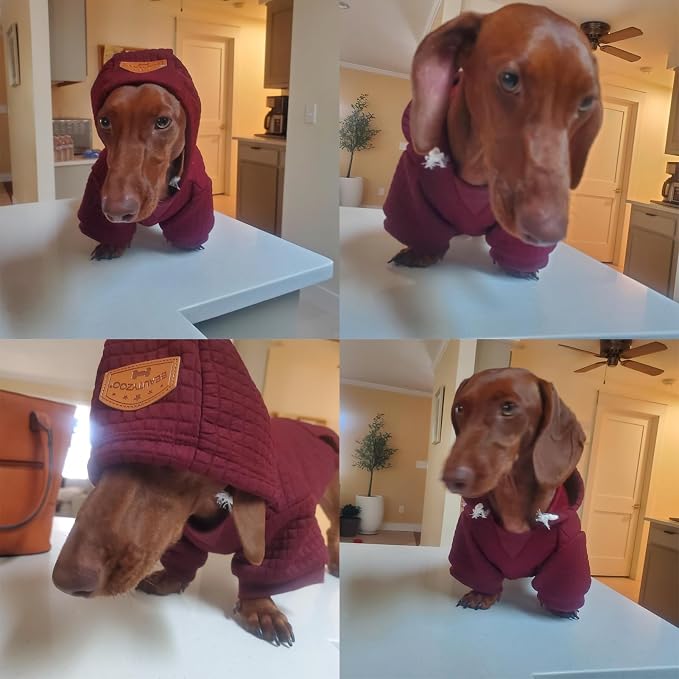 BEAUTYZOO Dog Hoodies Sweater for Large Dogs,Waffle‑Like Laminated Pet Coat | Warm Dog Sweatshirt with Pocket & Leash Hole,Pullover Clothes for Girl Boy Dogs,Stretchy & Easy‑On‑Off,Labrador & Great Danes