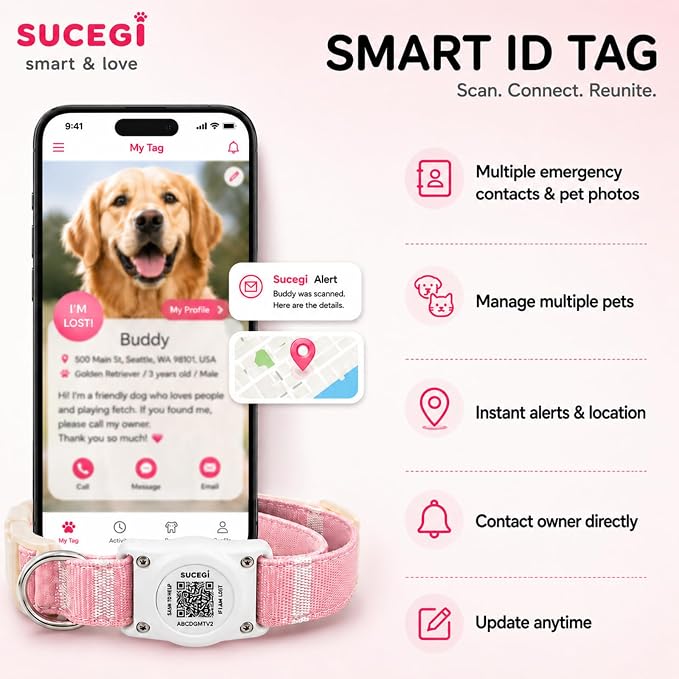 AirTag Dog Collar with QR Code ID, Dog Collar with Air Tag Holder, Pink, L
