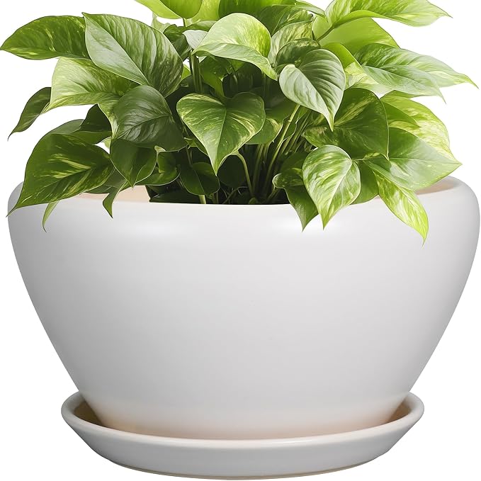 Ceramicfor Ceramic Planter - 9 Inch Plant Pot Indoor with Drainage Hole and Saucer for Outdoor Plants Mid-Century Round Planter Modern Flower Pot for House Garden White