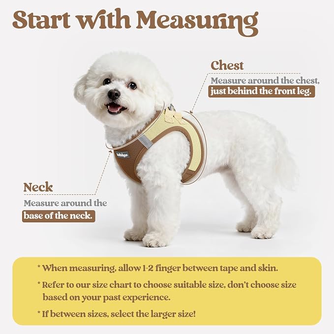 rabbitgoo Dog Harness Small Sized and Leash Set, Step-in Puppy Pet Vest | Light, Soft, Breathable Air Mesh, Easy on and Remove with Hook & Loop, Secure Reflective for Walking, Brown & Beige S