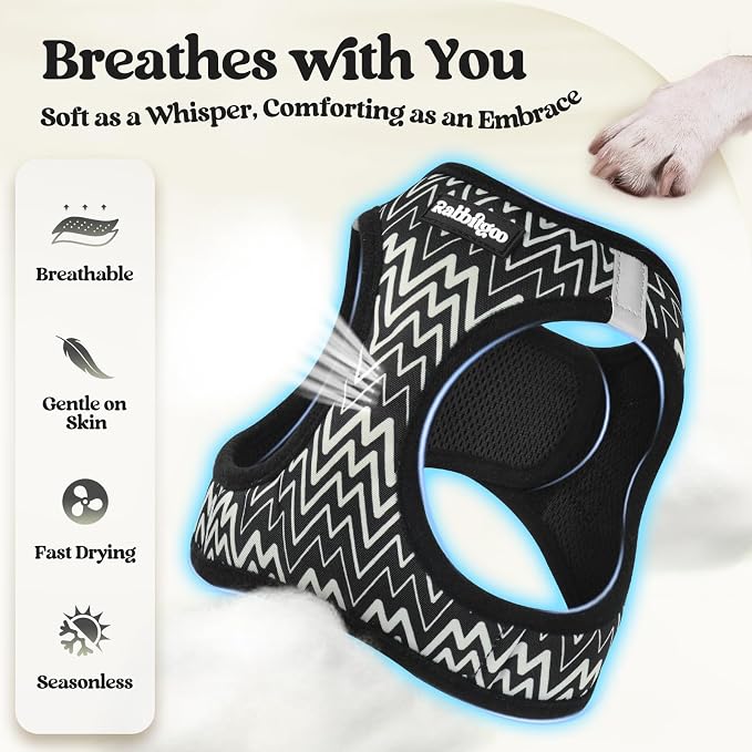 rabbitgoo Dog Harness Medium Sized and Leash Set, Step-in Puppy Pet Vest | Light, Soft, Breathable Air Mesh, Easy on and Remove with Hook & Loop, Secure Reflective for Walking, Black Zigzag L
