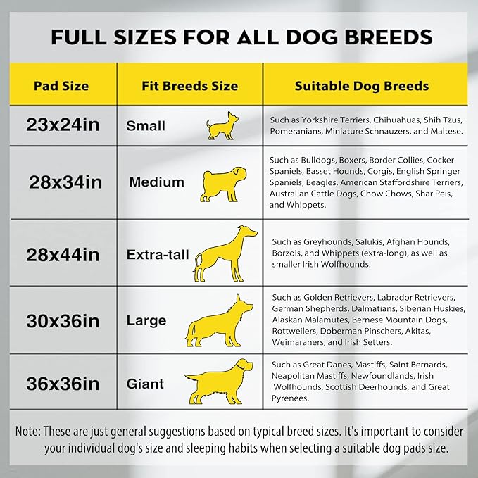 CROCI Charcoal Pee Pads for Dogs Odor Control Leak Proof 23x24in 100Ct | Super Absorbent Dog Pee Pads with Adhesive Tabs, Heavy Duty, Dog Potty Training, Quick-Dry Surface, Disposable