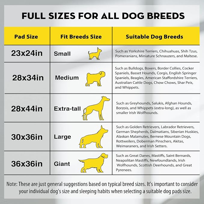 CROCI Charcoal Pee Pads for Dogs Odor Control Leak Proof XXL 28x44in 25Ct | Super Absorbent Puppy Pads with Adhesive Tabs, Heavy Duty, Dog Potty Training, Quick-Dry Surface, Disposable