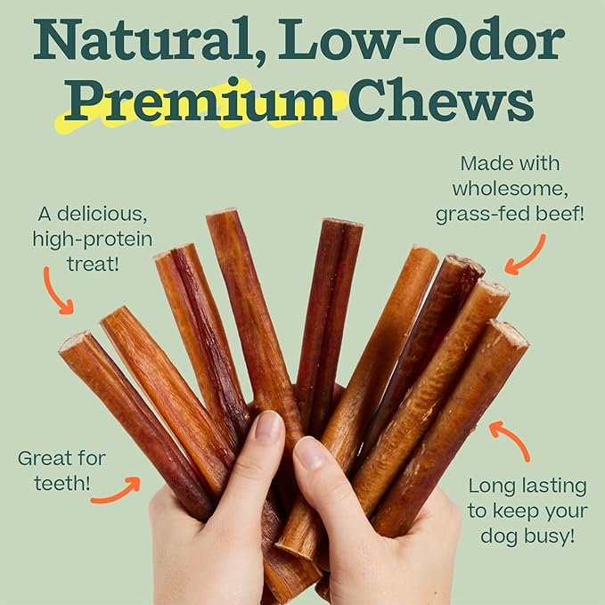 WOOF Bully Sticks Dog Chew Treats, 6 Inch, 5 Count | Free-range grass-fed beef, long-lasting chews, high protein, odor controlled, supports dental care