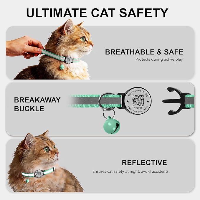 Breakaway Cat Collar QR Code, Reflective Bell, Adjustable Kitten, Teal