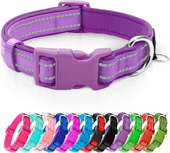 azuza Reflective Dog Collar, Neoprene Padded Small Dog Collar, Purple, S