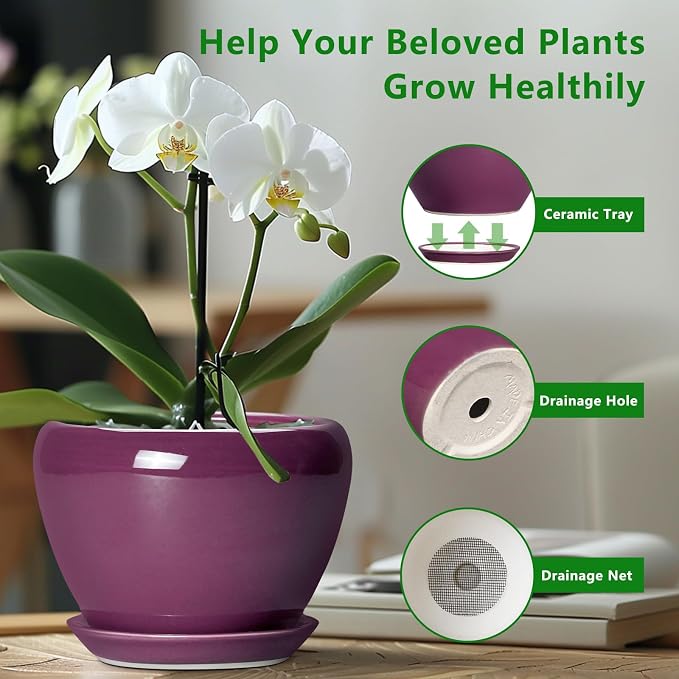 Ceramicfor 10 Inch Plant Pot - Ceramic Planter with Drainage Hole and Saucer, Round Modern Flower Pot for Indoor Outdoor Plants, Housewarming Gift, Home Garden Decor, Purple