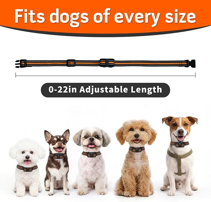 Lightweight Dog Training Collar with Remote for Small Dogs 5–15 lbs, Medium & Large Dogs, 1300FT Range, Waterproof, Rechargeable Training Device (Orange)