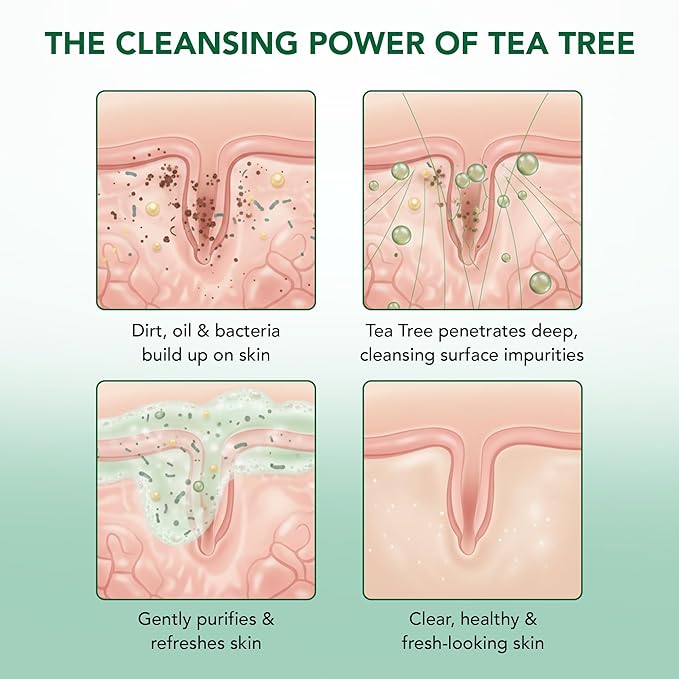 Botanic Hearth Tea Tree Eucalyptus Body Wash with Silicone Dual-Sided Design Body Brush & Scrubber | Infused with 100% Pure Tea Tree Oil, Coconut, Jojoba|Foot & Body Cleanser |Paraben Free |16 fl oz