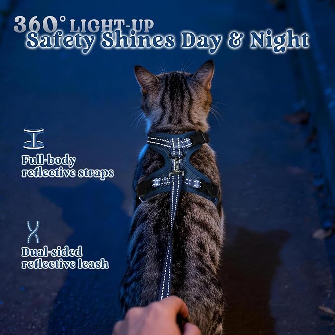 rabbitgoo Cat Harness and Leash Set, Easy-on with Neck Buckle, Navy Blue