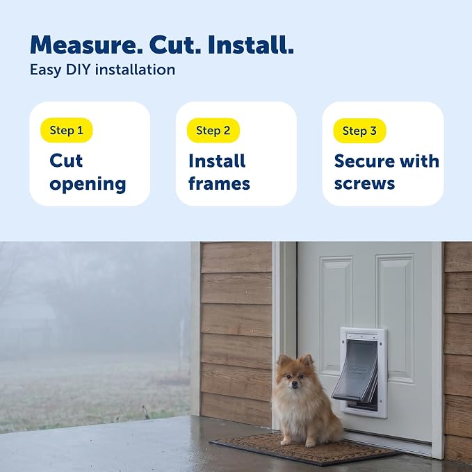 PetSafe Extreme Weather Plastic Pet Door, Small