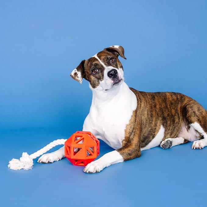 Fringe Studio Pull My Way RED Rubber Dog Toy, Pet Shop Collection (518031) (Pack of 2)