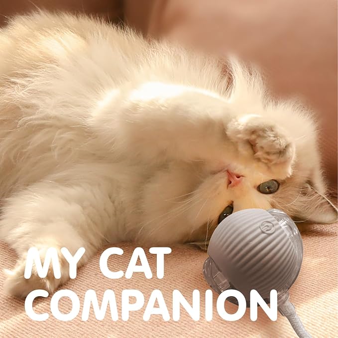 Rocfish Durable Interactive Cat Toys for Indoor Cats (Grey, 01)