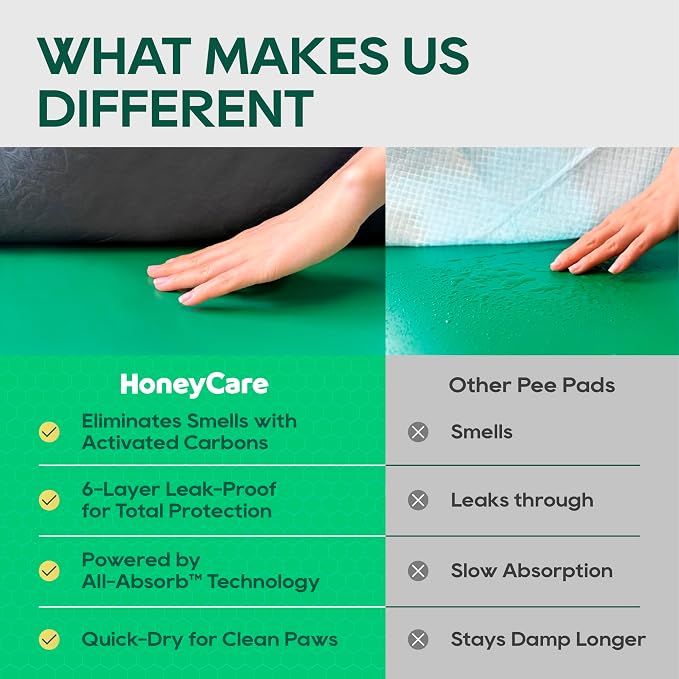 HONEY CARE All-Absorb Puppy Training Pads | Doggie Potty Pads Absorb Eliminating Urine Odor, Ultra Charcoal Dog Pee Pad (Carbon, L 22x23 inch, 100ct)