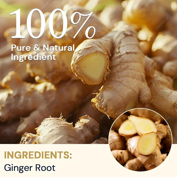 Ginger Root Herbal Tea - Caffeine Free, 100 Teabags