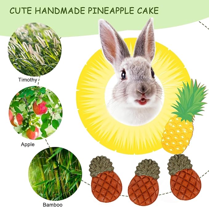 Bunny Toys, 21PCS Rabbit Chew Toys for Teeth, Guinea Pig Natural Treats