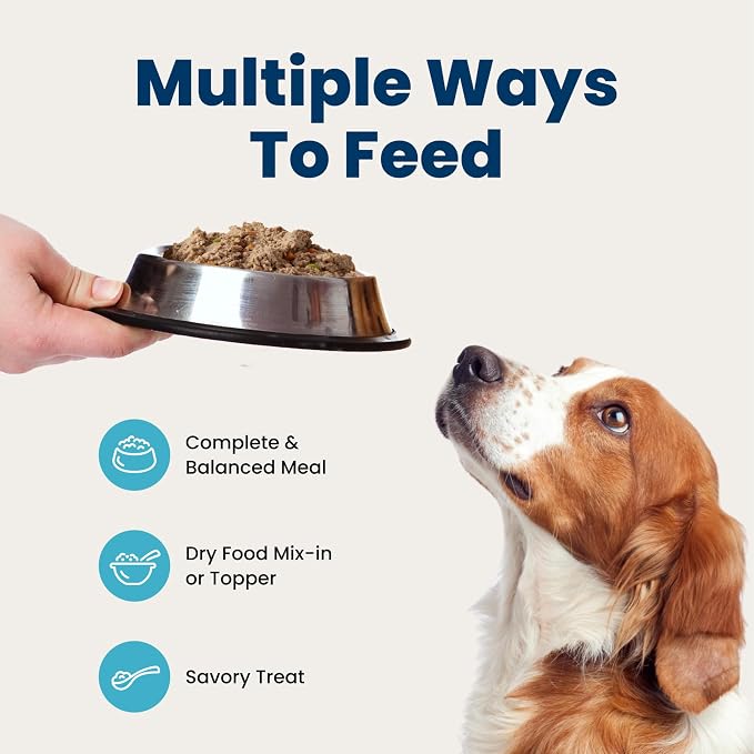 Blue Buffalo Homestyle Recipe Chicken Adult Wet Dog Food, 12.5 oz, 3 ct | Chicken Dinner with Garden Vegetables, No Chicken By-Product, Corn, Wheat, or Soy