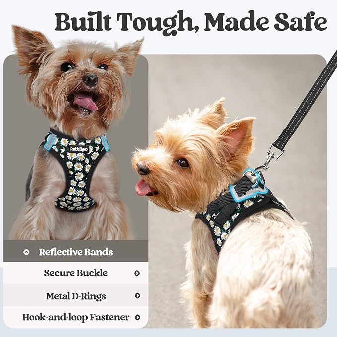 rabbitgoo Dog Harness Small Sized and Leash Set, Step-in Puppy Pet Vest | Light, Soft, Breathable Air Mesh, Easy on and Remove with Hook & Loop, Secure Reflective for Walking, Midnight Daisy XXS