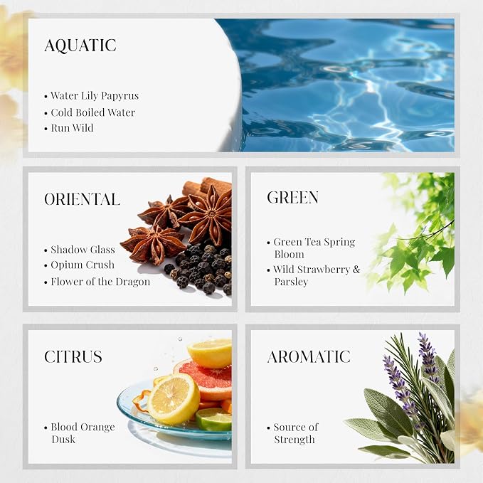 HIQILI Discovery Fragrance Oil Gift Set for Diffuser, Candle & DIY Perfume | Ideal for Candle & Perfume Making, Long-Lasting Scent from 8 Curated Notes, Non-Toxic, Beautiful Packaging