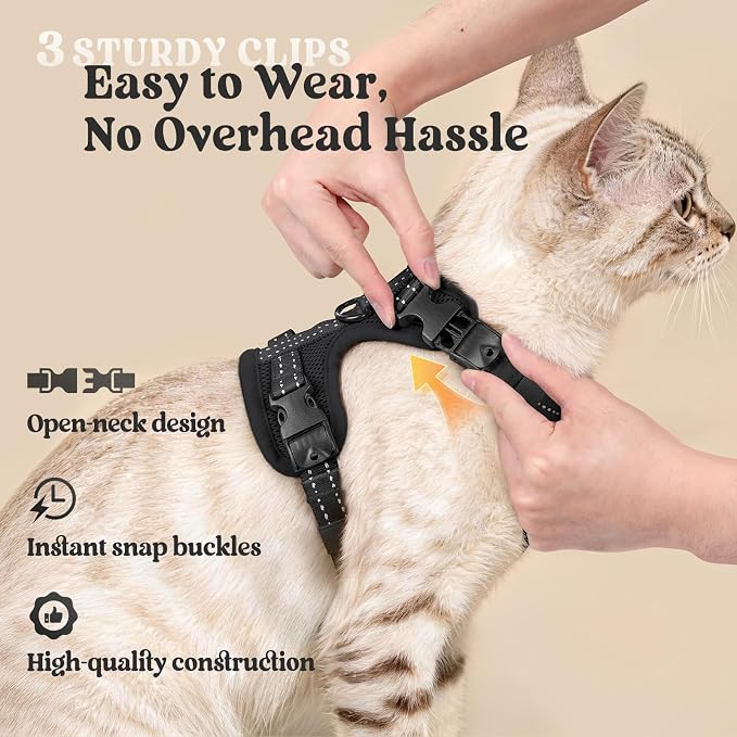 rabbitgoo Cat Harness and Leash, Easy-on with Neck Buckle, Black