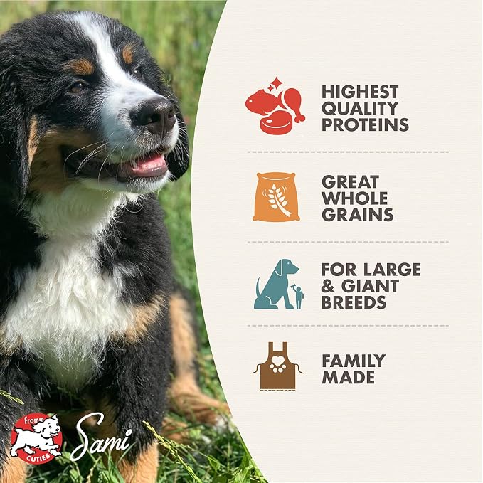 Fromm Large Breed Puppy Gold Premium Dry Dog Food - Chicken Recipe - 5 lb
