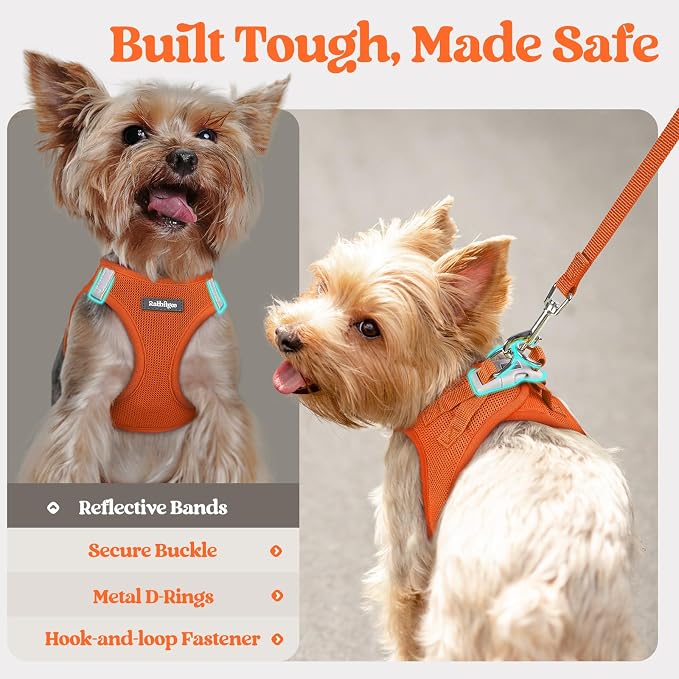 rabbitgoo Dog Harness Small Sized and Leash Set, Step-in Puppy Pet Vest | Light, Soft, Breathable Air Mesh, Easy on and Remove with Hook & Loop, Secure Reflective for Walking, Orange S