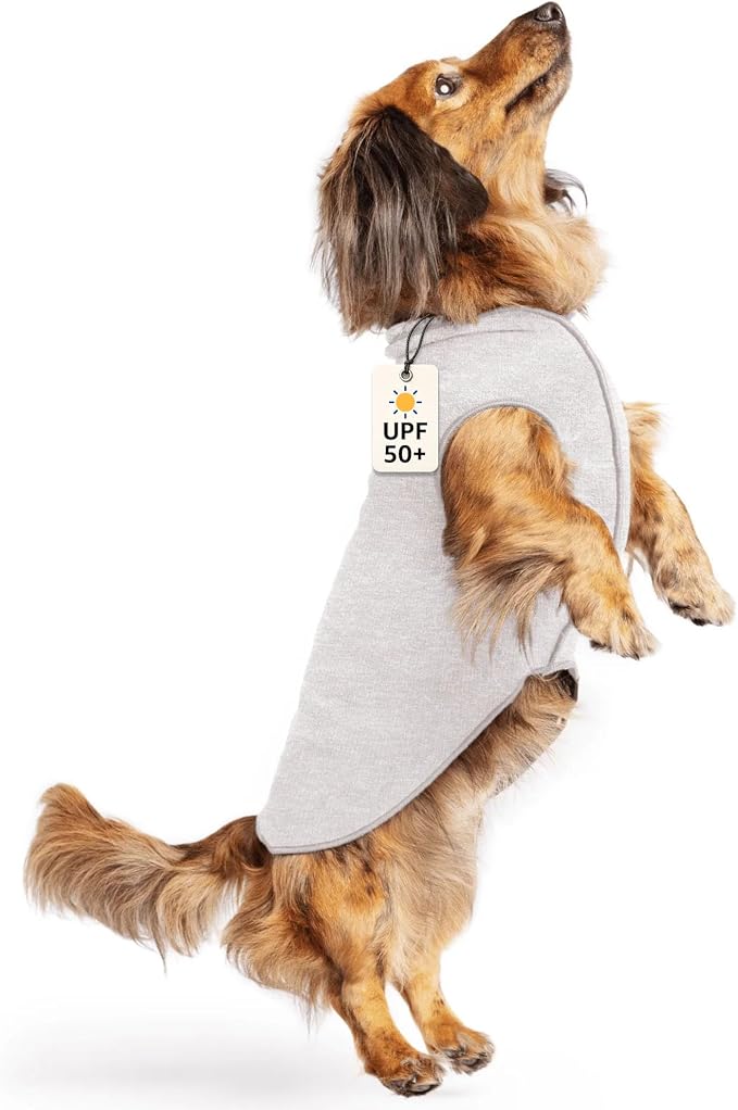 Goldpaw Dog Sun Shirt with UV Protection - Lightweight, Cooling Sun Protection Clothing for Dogs - Reduce Heat Absorption - Pet Clothes Made in the USA - Machine Washable - Size 12 - Pebble Grey