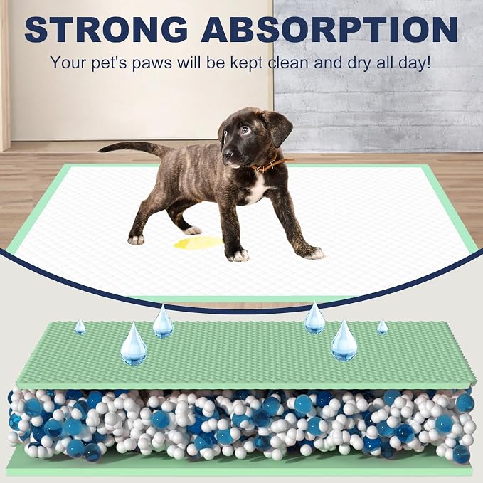 Dog Pee Pads Extra Large 30" × 36" - 40 Count, XXL Urine Underpads｜Unscented Green Pet Pee Pads, Super Absorbent & Leak-Proof Potty Pads for Doggies