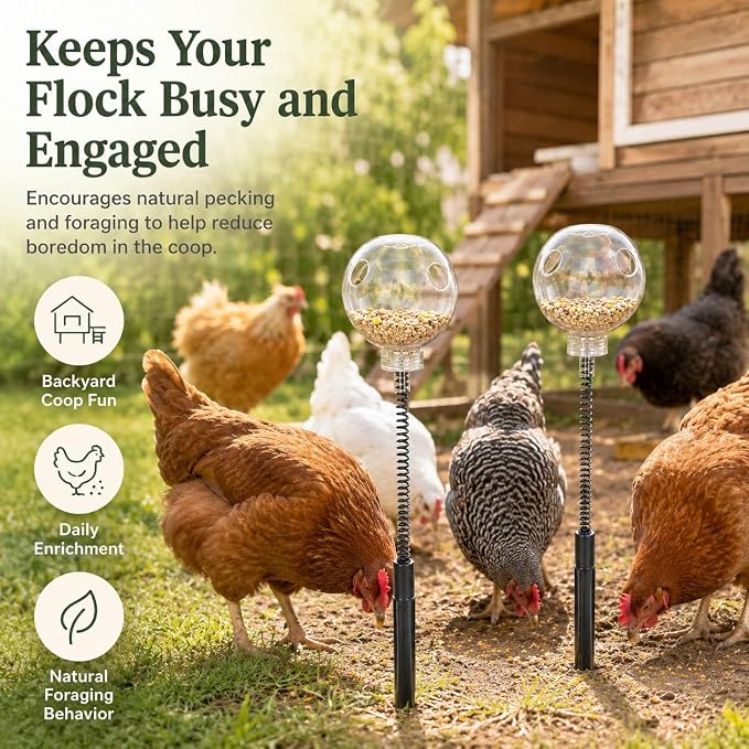 2 Pack Chicken Peck Toys, Chicken Slow Feeder Ball & Poultry Enrichment Toys, Interactive Treat Dispenser with Metal Spring & Plastic Ground Stake for Hens, Ducks, Backyard Coop Feeding