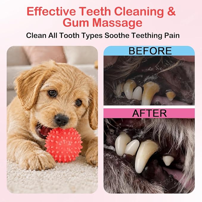 6 Pack Red Dog Chew Toys, Small Dog Teething Toys, Dental Health & Interactive Play