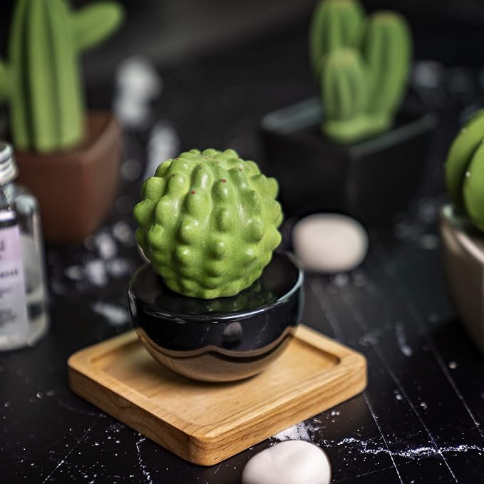 Frank Cactus, Non-Electric Ceramic Diffusers for Essential Oils and Aromatherapy Fragrance, White Ceramic Diffusers in Car or Desk Office Decor and Small Bathroom at Home, Black vase