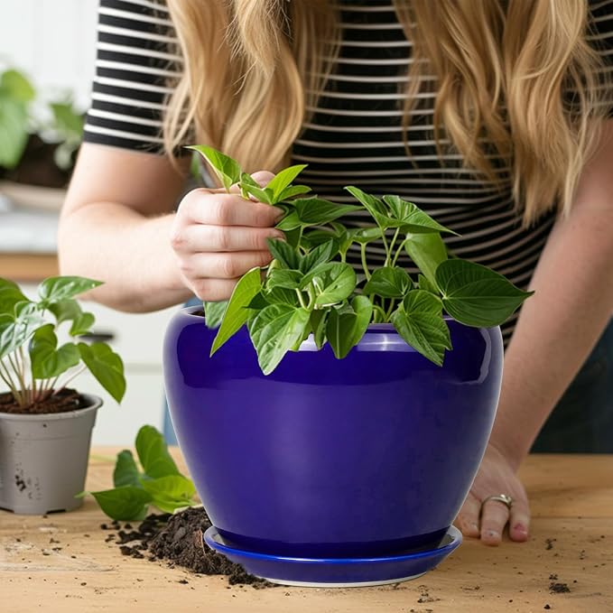 Ceramicfor Ceramic Plant Pot 8 Inch - Planter for Outdoor Plants Indoor Plant Pot with Drainage Hole and Saucer Decorative Round Planter Modern Flower Pot for House Decor Blue