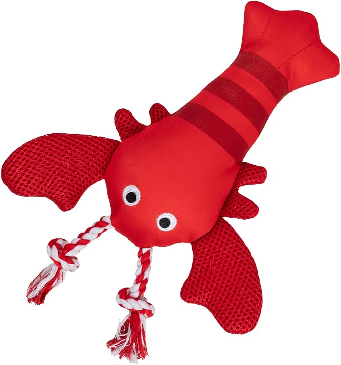 Fringe Studio Floating Dog Toy with Rope Feeling Claw-Some, Pet Shop Collection (640027)