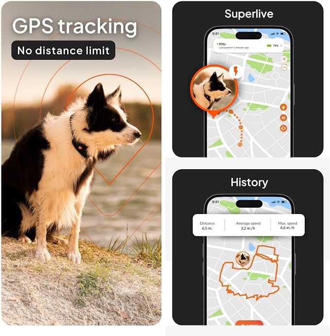 Weenect Dog XT - NEW GPS Collar for Dogs | XL Antenna | Waterproof | Ultra-Durable Integrated Julius-K9 Collar | Subscription Required