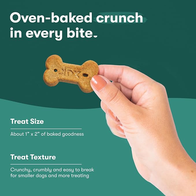 Jinx Dog Biscuits, Oven-Baked Dog Treats with Salmon Bone Broth, 16oz | 1-Pack Crunchy & Healthy Dog Treat, Superfood-Rich with Real Salmon, Dog Cookies for Puppies, Adults & Senior Dogs